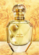 Parfum El Nabil - Iris de Florence (vaporisateur 75 ml)